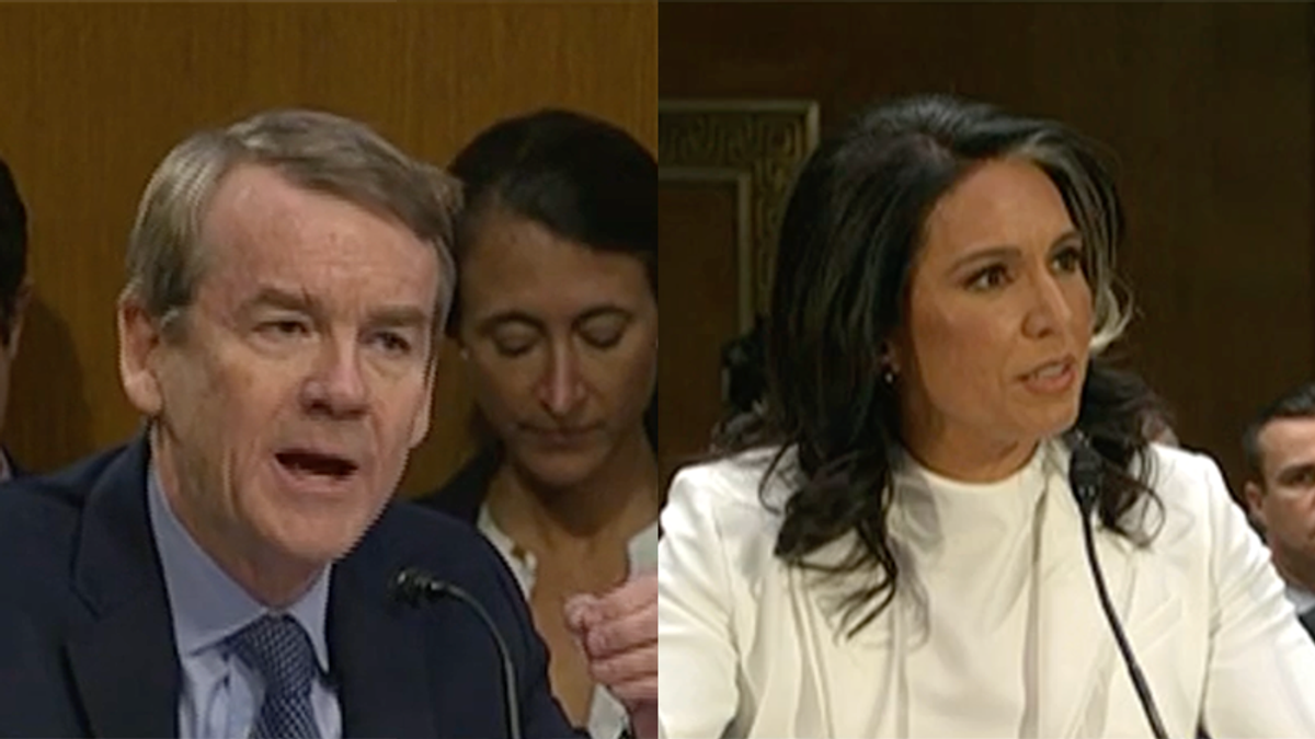 'That is not a hard question': Dem yells as Gabbard dodges past key confirmation inquiry