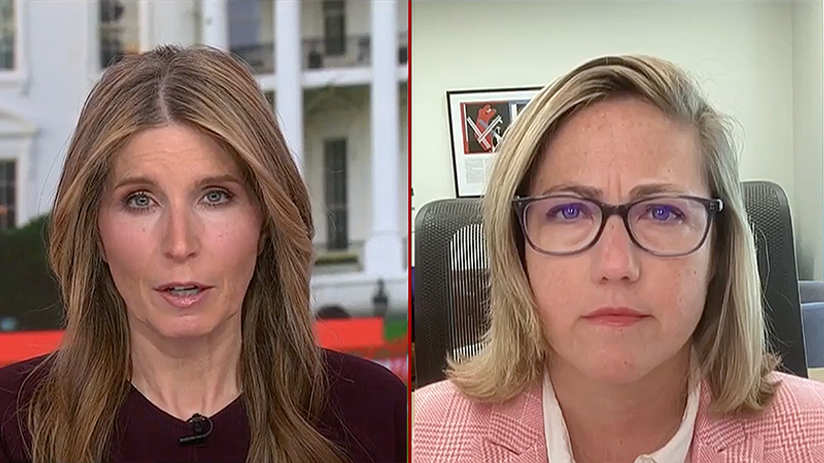 'Guy with a laser pointer': GOP pollster says Trump's 'insane' order may be a decoy