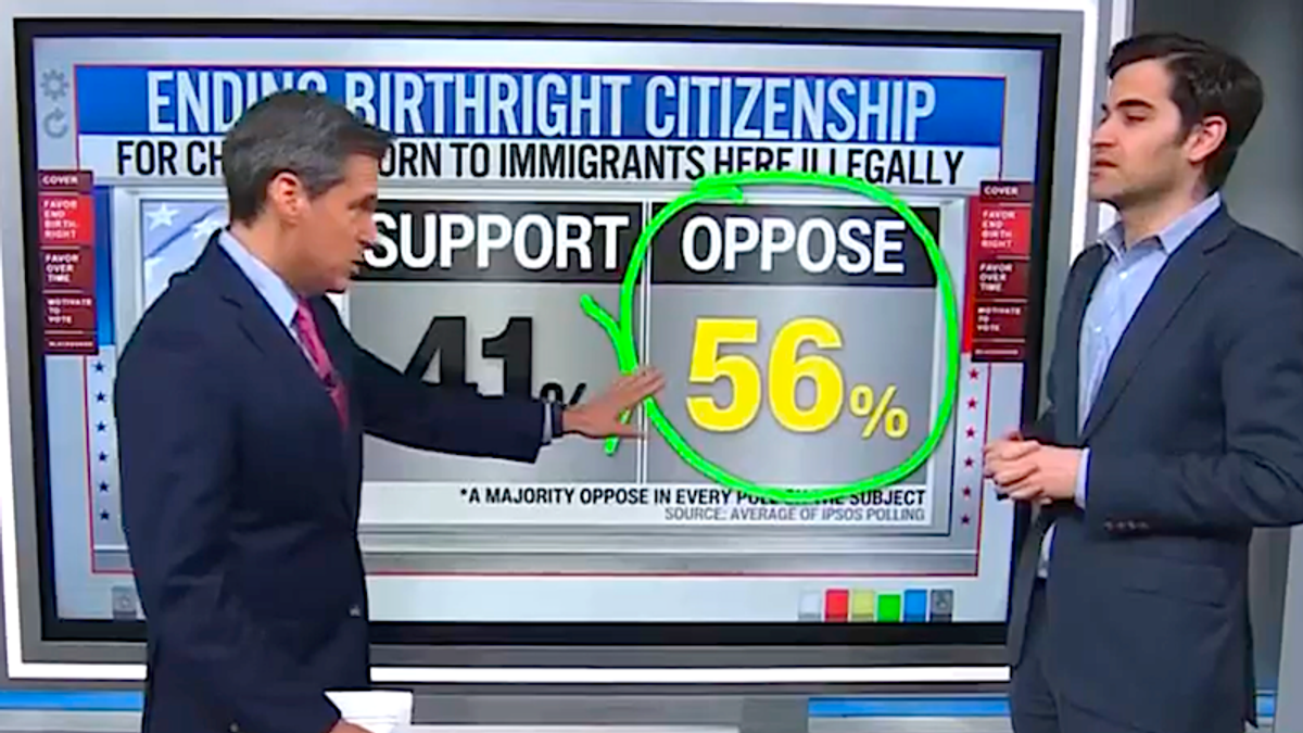 'Never in a million years': CNN host shocked by data on Trump's 'political loser' policy