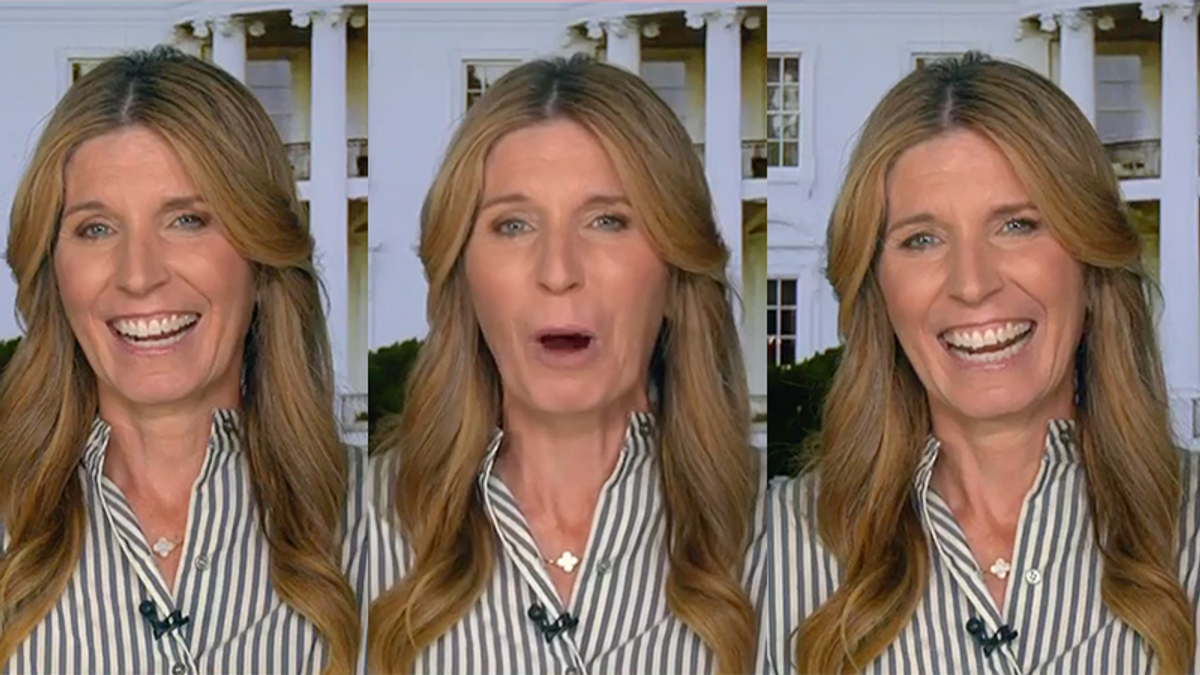 Nicolle Wallace howls at MAGA's 'melting snowflakes' angry over Newsom trolling