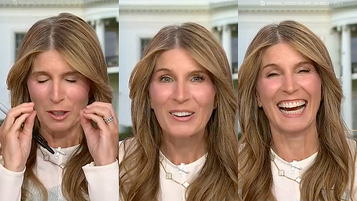 'Gobsmacked': Nicolle Wallace baffled by Trump Cabinet member's 'shocking' Epstein remark
