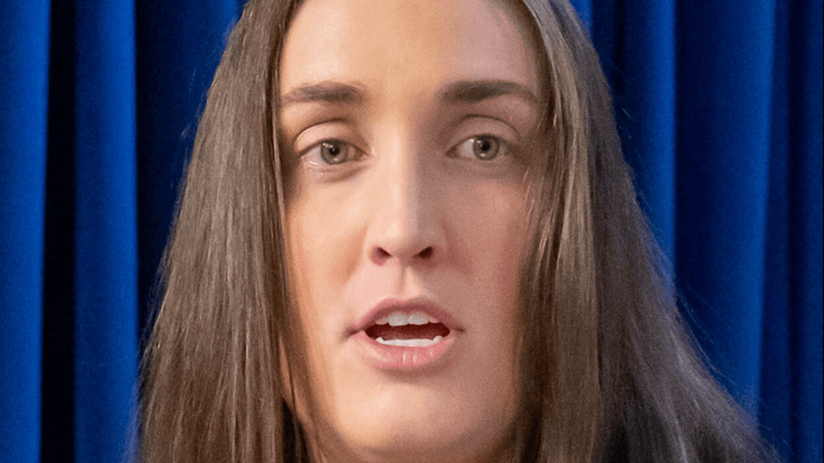 'Getting out while the getting's good?' Questions raised about ICE official's exit