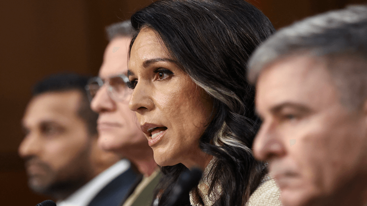 'Elephant in the room': MS NOW analyst says Senate hearings were really about one thing