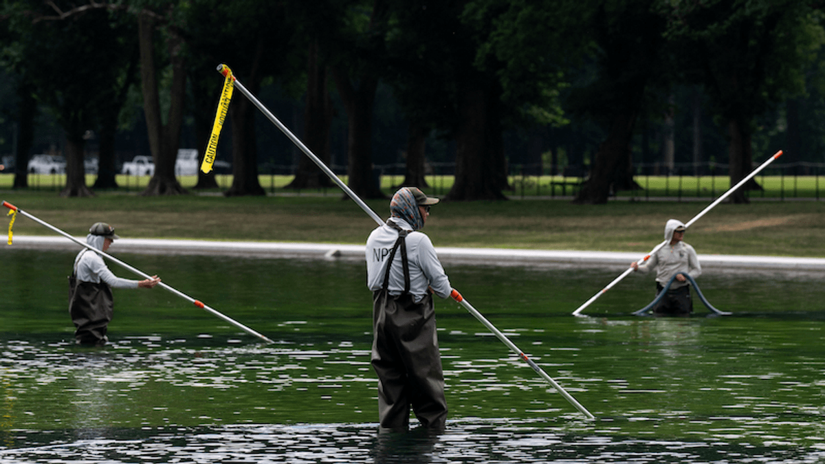 Astonishing irony as no-bid contractor behind algae-ridden pool named: 'Can't be true'
