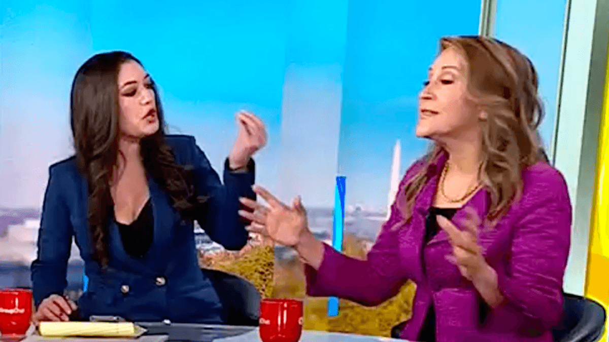 'You're very agitated': Careening conservative called out over CNN crash-out