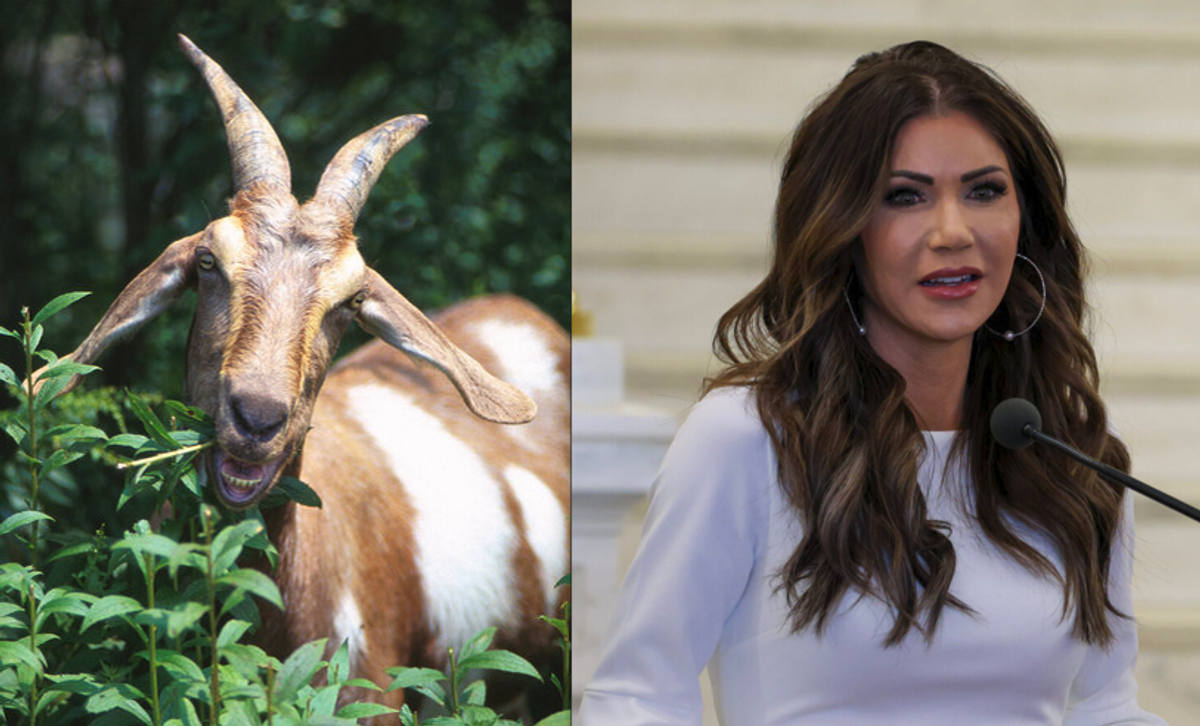 'Ugly' Noem’s dog killing was bad — but to really understand her, consider her billy goat