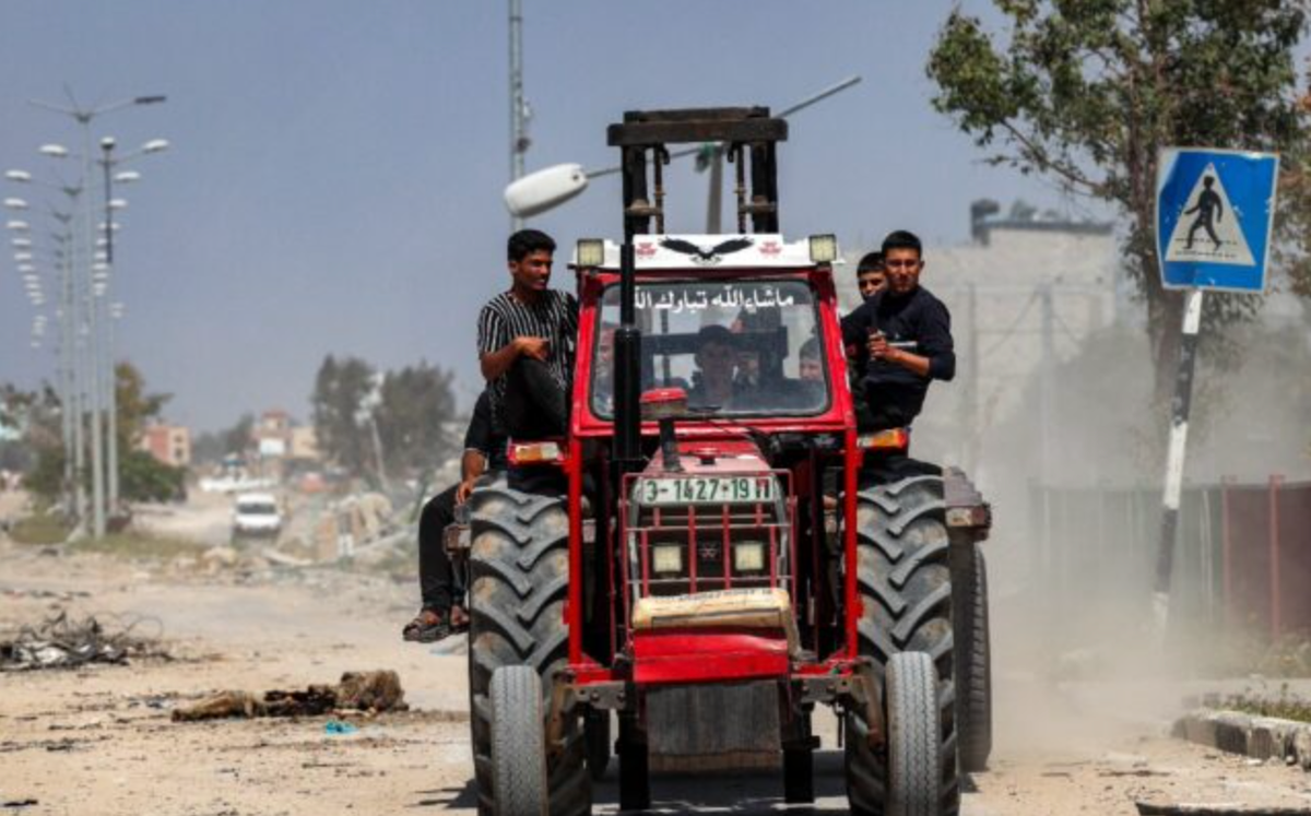 ‘Bulldozed and shelled’: Gaza’s farming sector ravaged by war