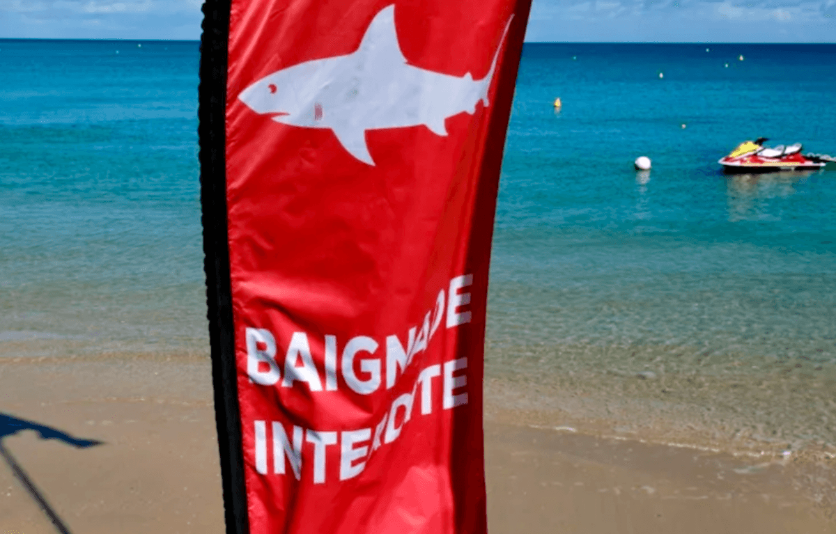 French Pacific archipelago divided over shark hunt