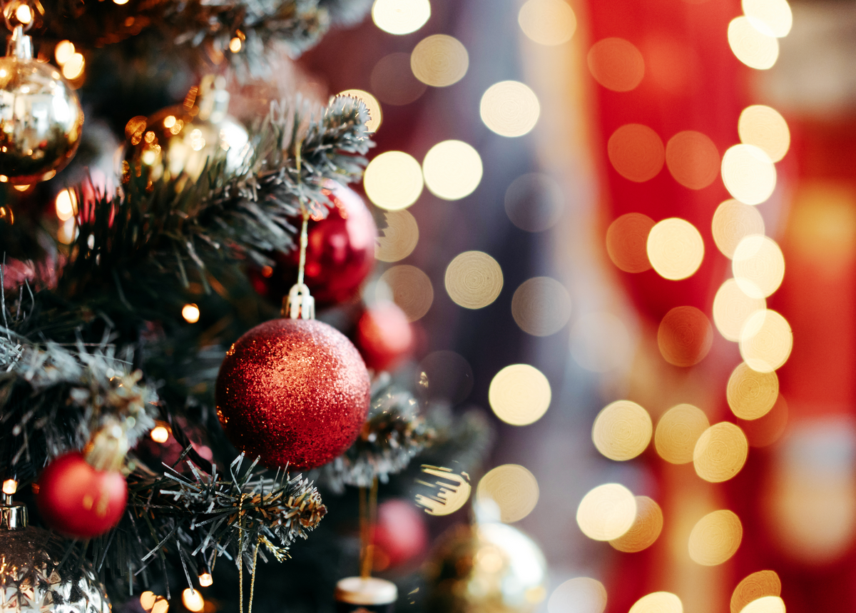'Imposing and festive': Writers infiltrate Christmas party at castle HQ of far-right group