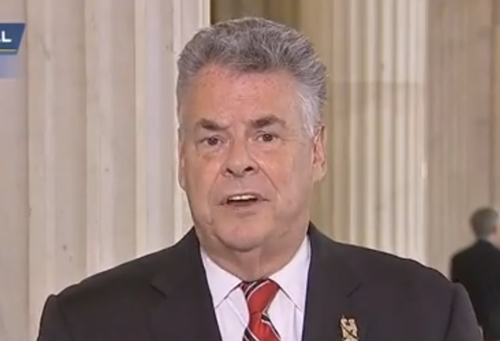 Panicked Republican blames shutdown fallout on 'Ted Cruz and his acolytes'