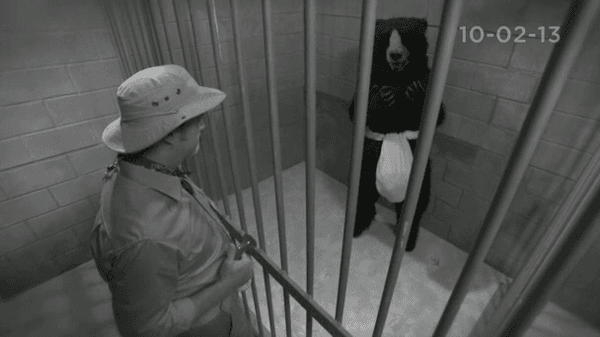 Conan: Live ma*turbating bear webcam just as good as panda cam, right?