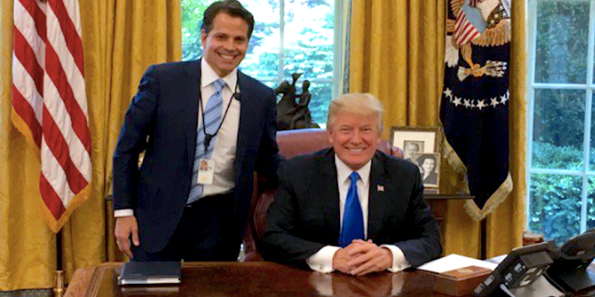 'He really wants to hurt people': Anthony Scaramucci calls Trump a grifter worse than most