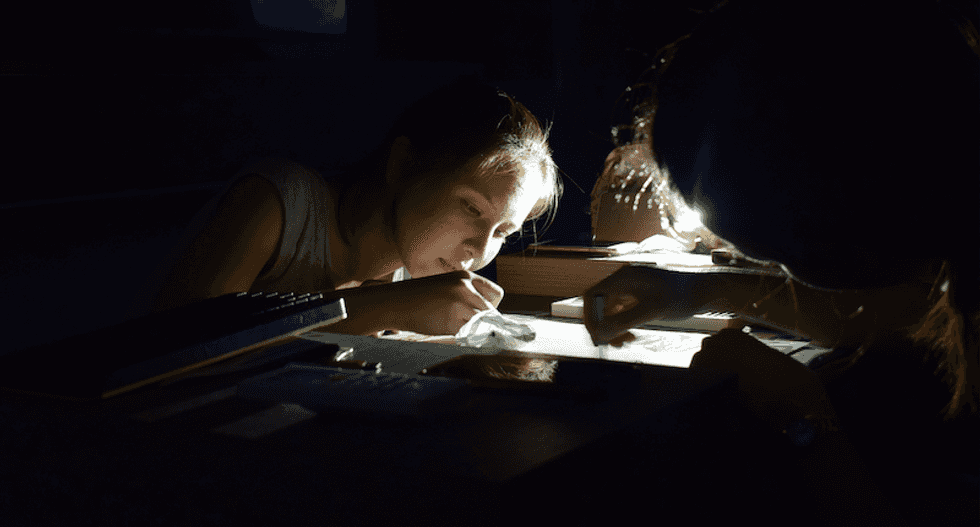 Families at home could overwhelm the power grid this summer -- and set off blackouts