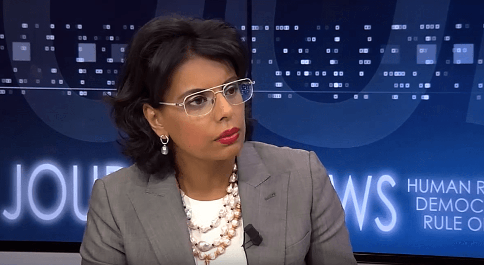 WATCH: Muslim author shreds Newt's crazed Muslim 'loyalty test' plan on Fox & Friends