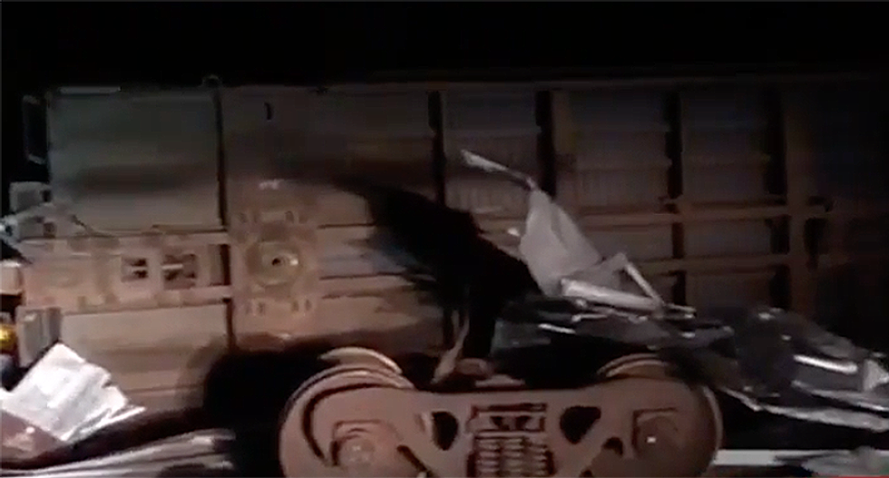 Hurricane Michael's winds were so strong it ripped a train off its tracks