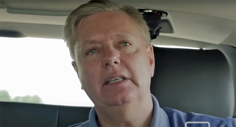 Lincoln Project likens Lindsey Graham to an abused dog for being 'violently out-fundraised' in South Carolina re-election campaign