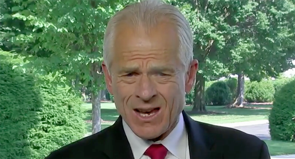 ‘Peter Navarro is a lunatic’: Trump advisor roasted for ‘insane’ MSNBC interview