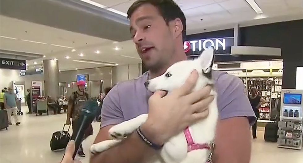 Airlines refuse seat to man with dog trying to flee Hurricane Irma -- so he's forced to ride out the storm