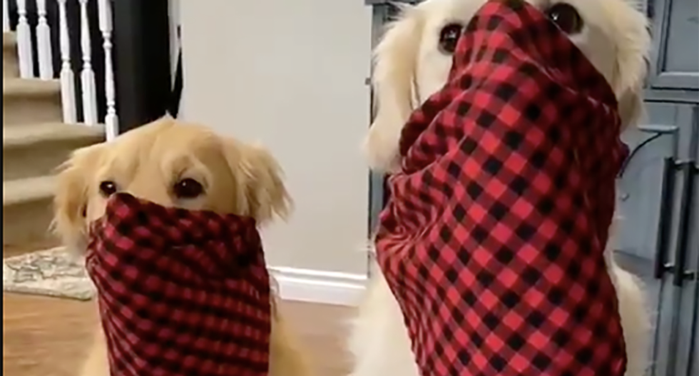 Here are 7 hilarious videos about wearing COVID-19 masks to send people who won't wear them