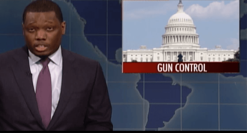 SNL taunts ‘snowflake’ gun owners: ‘If you own 47 cats you’re not called a responsible pet owner’