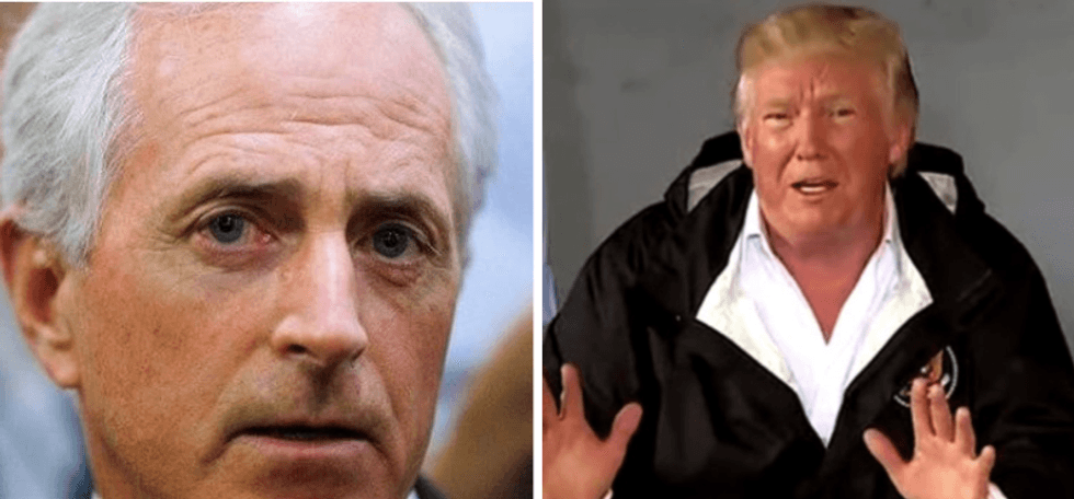 Sen. Bob Corker dismisses Trump's scheduled attendance at GOP policy lunch as a 'typical photo op'