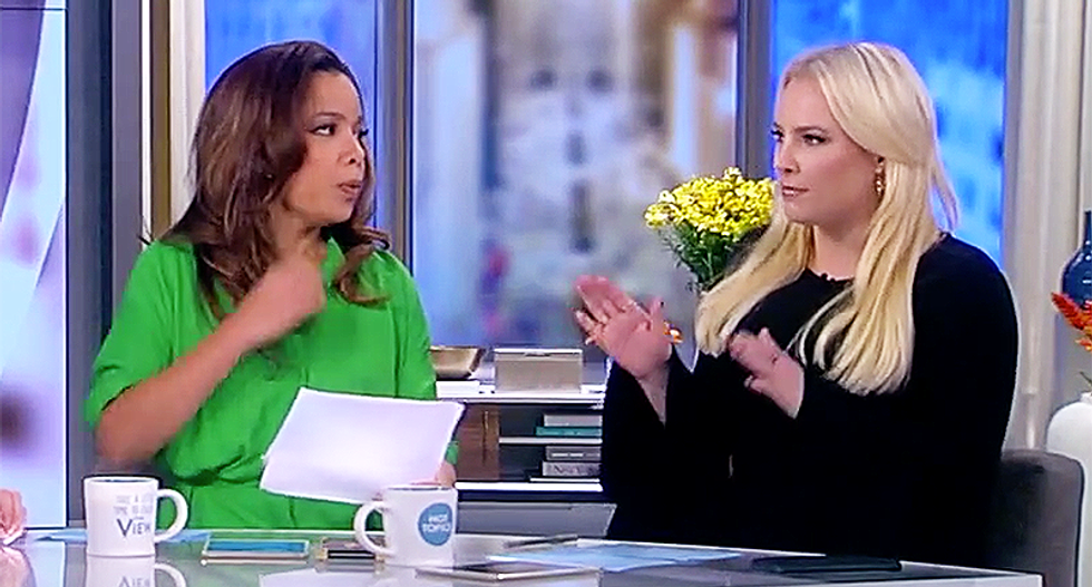 Feud explodes on 'The View' as Meghan McCain tries to tout Clinton conspiracy: 'Hillary wasn't just indicted!'