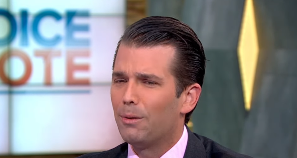 Donald Trump Jr. can't resist online conspiracy theories -- any of them, apparently