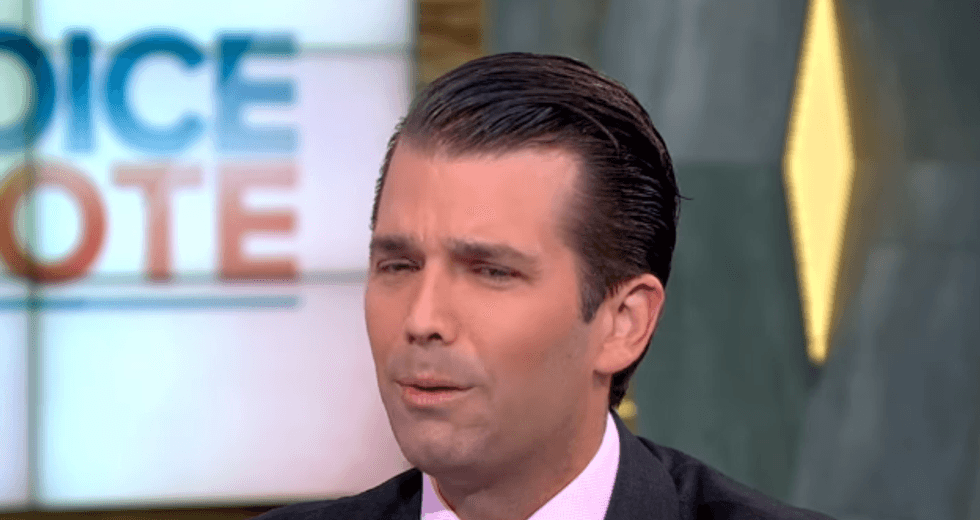 Donald Trump Jr. can't resist online conspiracy theories -- any of them, apparently
