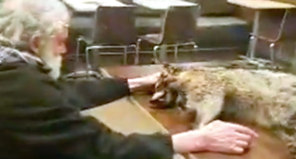 Man carries dead raccoon into McDonald's -- forcing restaurant to shut down for sanitizing