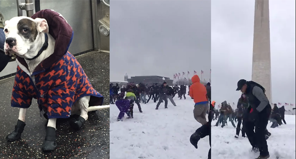 17 stunning photos and videos of massive snow storm hitting the United States