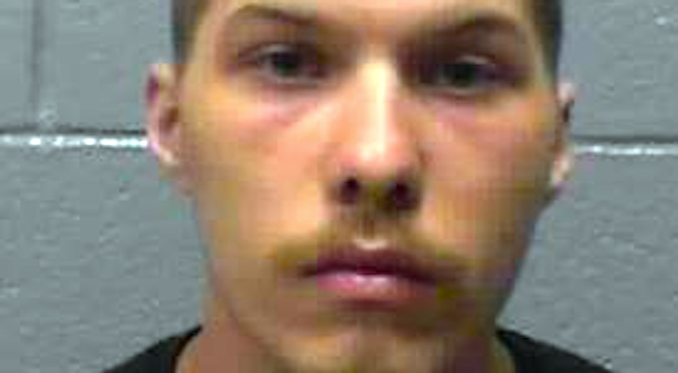 Dog's escape attempt causes 'sovereign citizen' to crash SUV full of weed, guns, and chickens