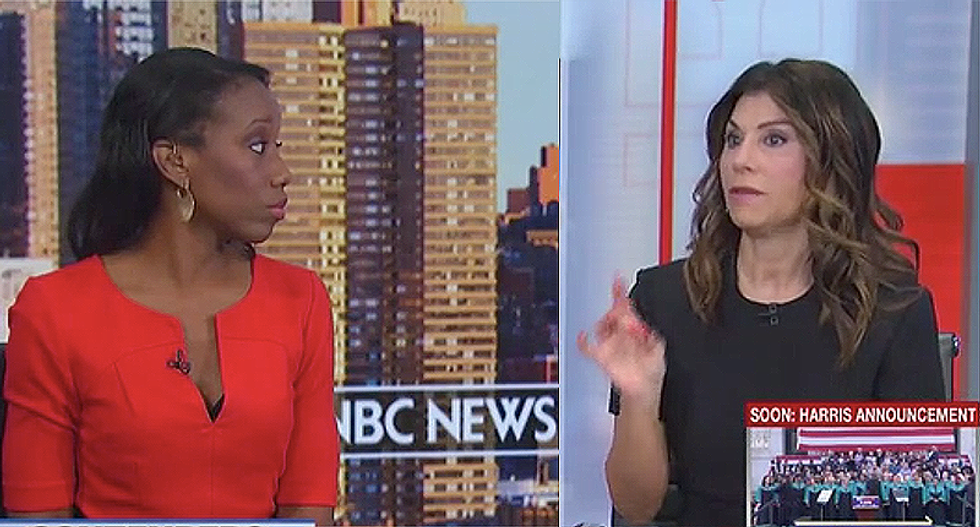 Republican strategist admits the GOP should be 'worried' about Kamala Harris because of their woman problem