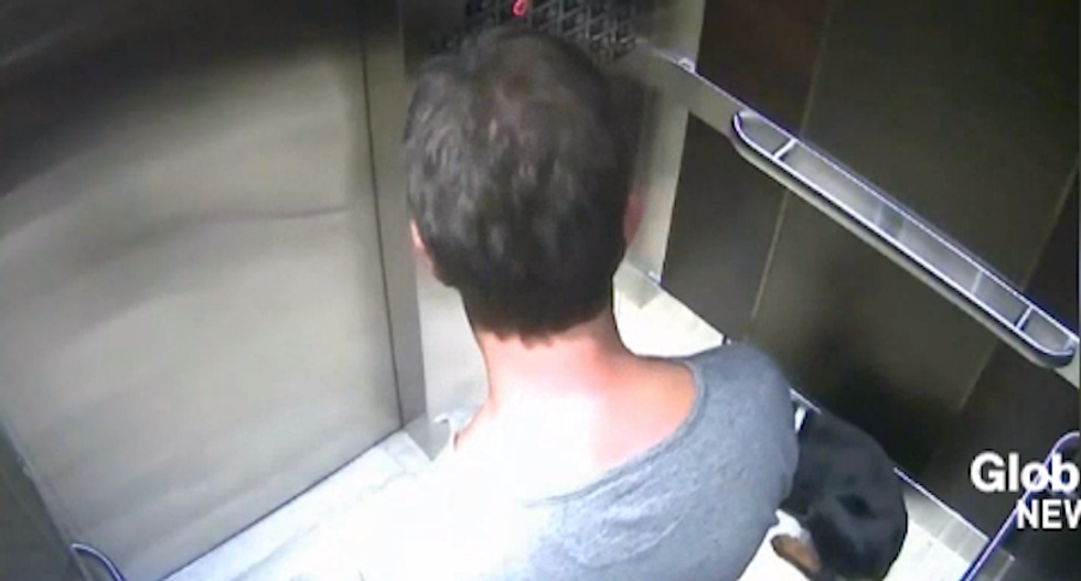 Video shows CEO kicking puppy in elevator: 'A friend's pet caused me to lose control'