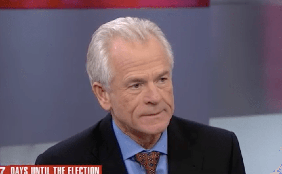 Tariff-loving adviser was stuck in a tiny office outside the White House – but won over Trump by going on TV