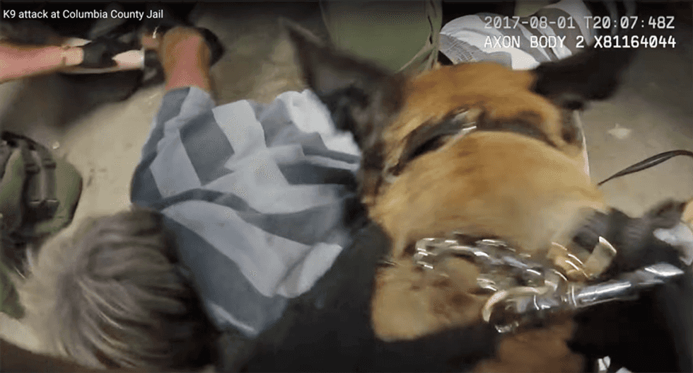WATCH: Graphic body cam footage of sheriff’s department siccing an attack dog on an inmate