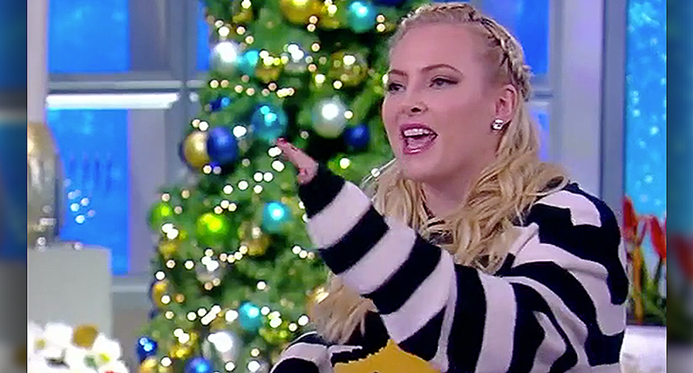 Meghan McCain brutally mocks Bannon after he attacks Romney for not joining the military: 'Who the hell are you'