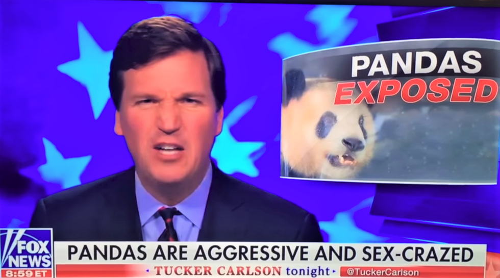 CNN's Jake Tapper subtly burns Tucker Carlson for covering panda sex on same day FBI raided Trump lawyer