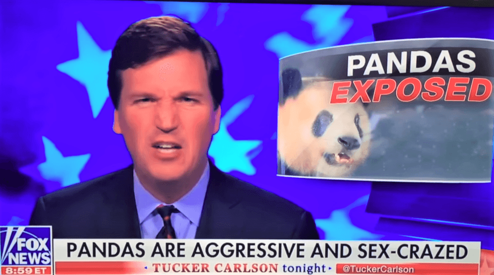 CNN's Jake Tapper subtly burns Tucker Carlson for covering panda sex on same day FBI raided Trump lawyer