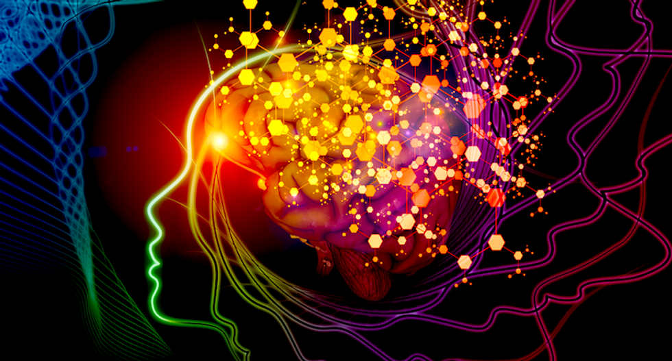 WATCH: Fox News host wants you to have a psychedelic experience before you die