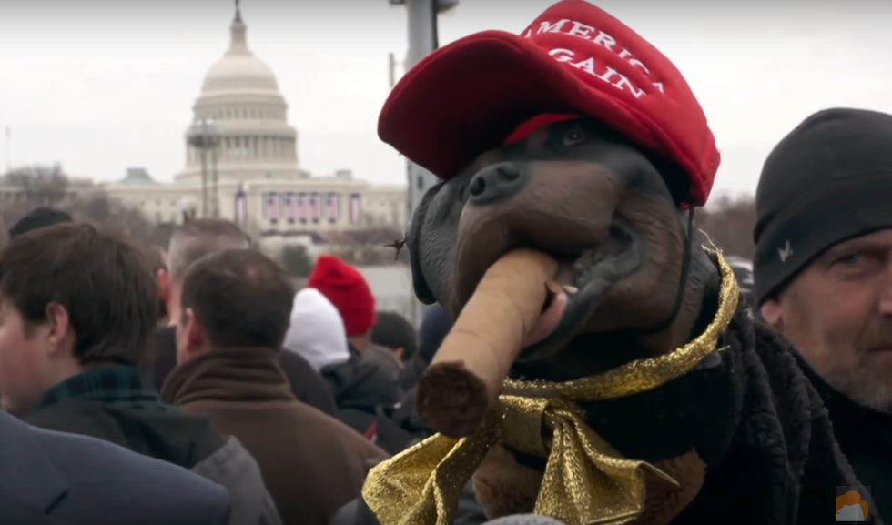 Triumph the Insult Comic Dog: Trump's inauguration was like a 'pick-up joint for seniors'