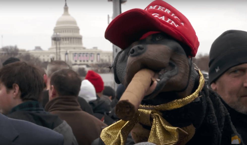 WATCH: Triumph the Insult Comic Dog proves real Trump supporters will defend anything the president says