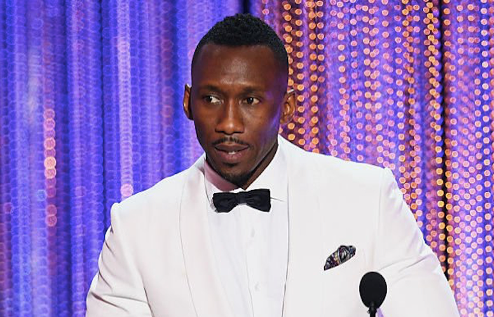 'Moonlight' actor and Muslim convert Mahershala Ali fights back tears in powerful speech at SAG Awards