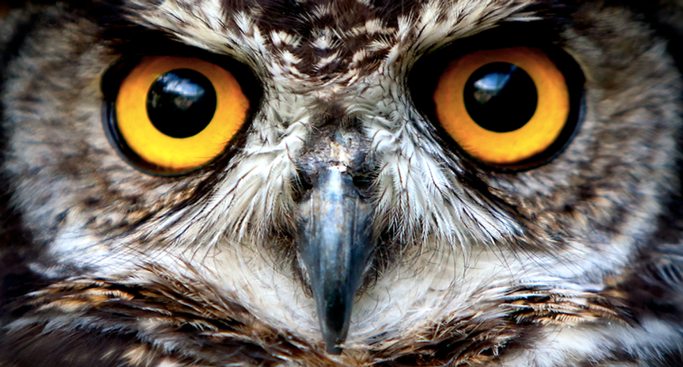 Listen to this pharmacy explain how a homeopathic remedy made from owls will cure your insomnia