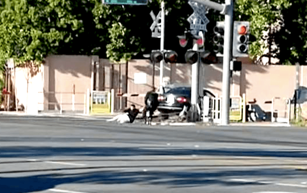 WATCH: Hero cops drag man free of crashed car just before it gets hit by train