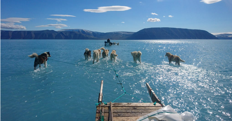 'This should scare the hell out of you': Photo of Greenland sled dog teams walking on melted water