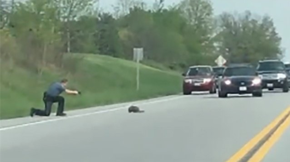 WATCH: Maryland sheriff shoots and kills a groundhog that was 'not responding' to his directions