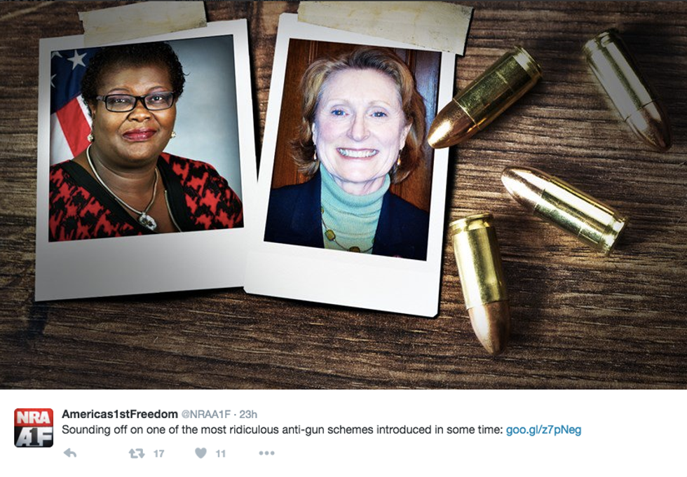 NRA responds to NY lawmakers' gun safety measure by decorating their faces with bullets