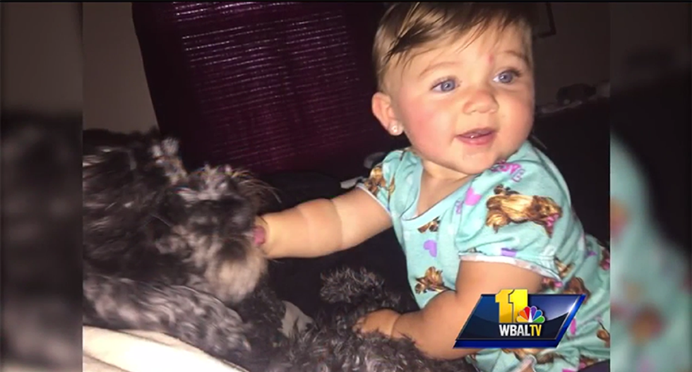 Protective dog succumbs to injuries after shielding 8-month-old in house fire