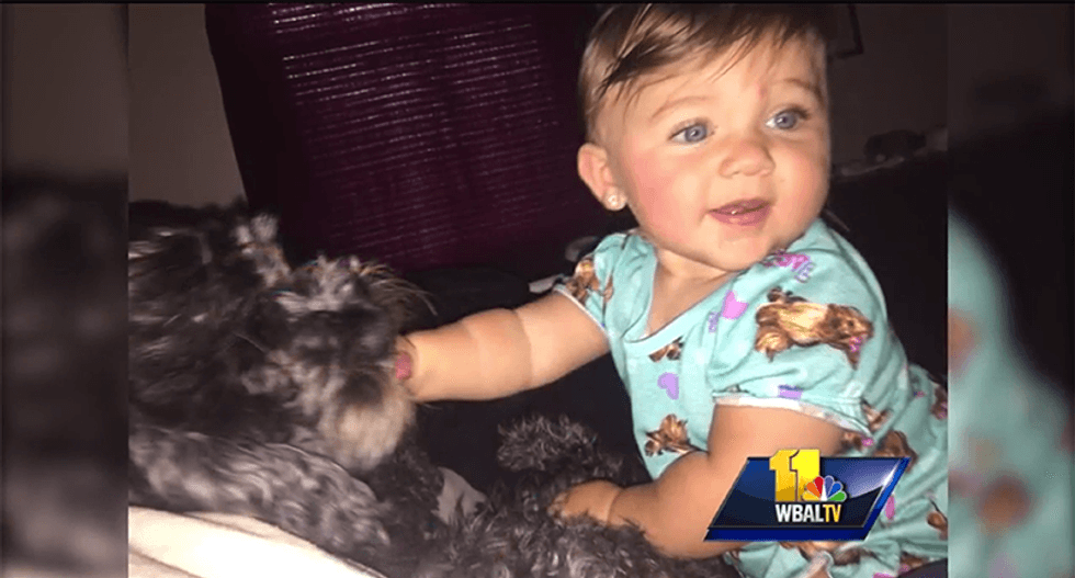 Protective dog succumbs to injuries after shielding 8-month-old in house fire
