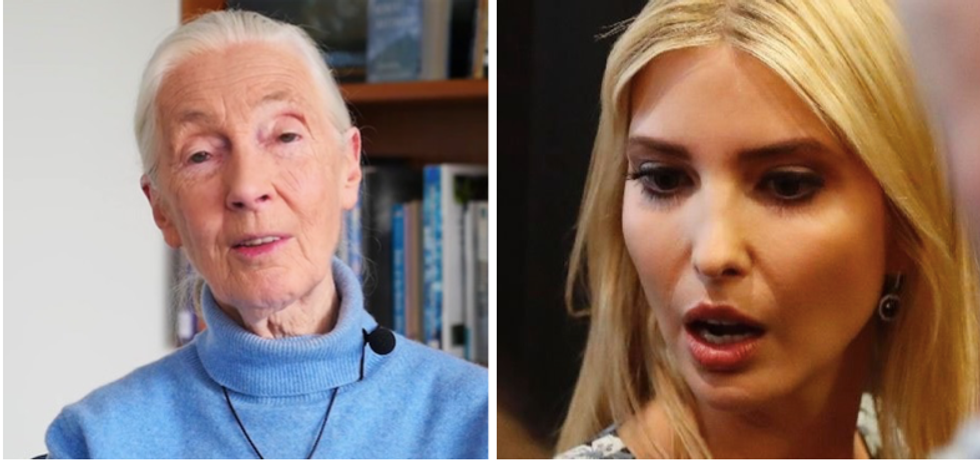 Jane Goodall takes Ivanka Trump to task after being quoted in the heiress' new book about working women